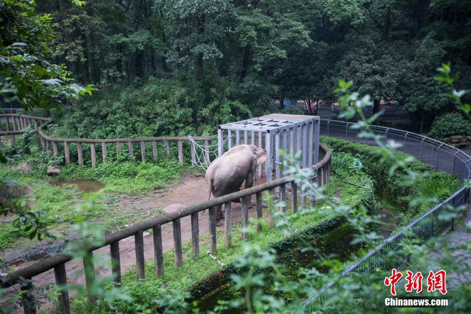 �����л����