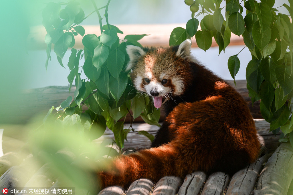 �������¶������������