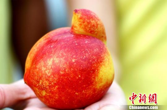 һ���������ջ�������