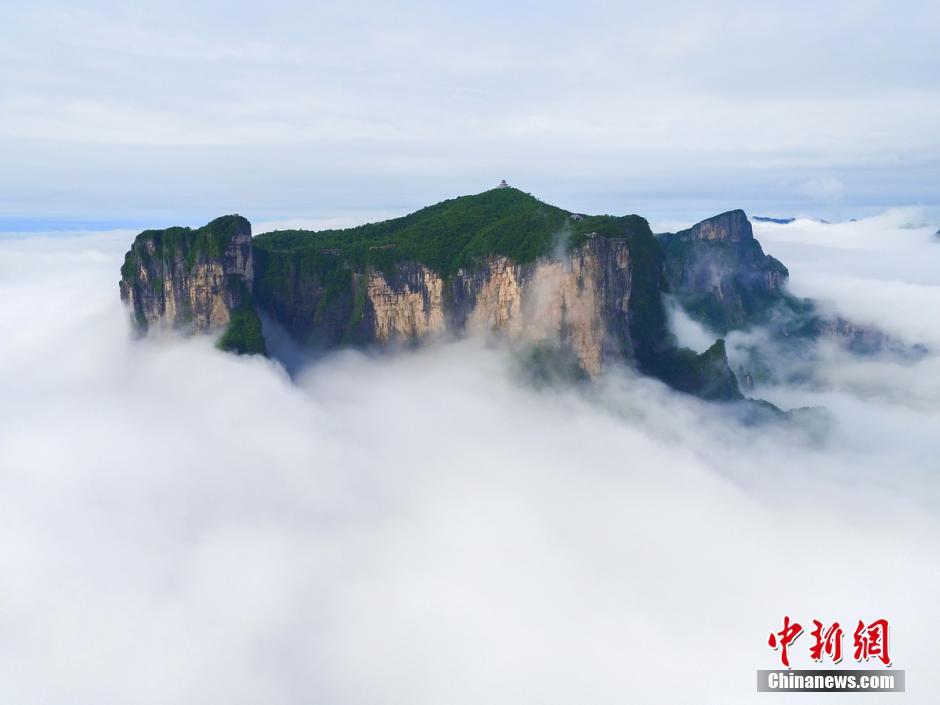 �żҽ�����ɽ���ƺ����