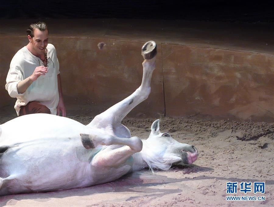 Cavalia������