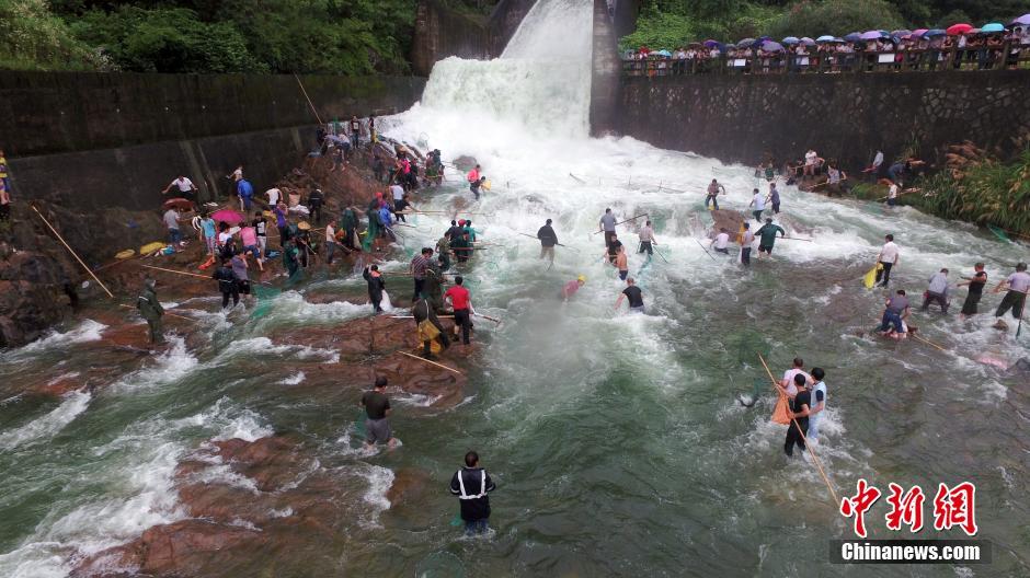 ���ں�ڲ���������