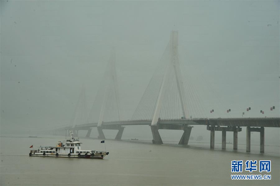 �����º���52����������