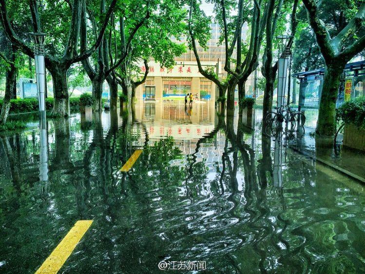 南京理工大学变奇幻森林