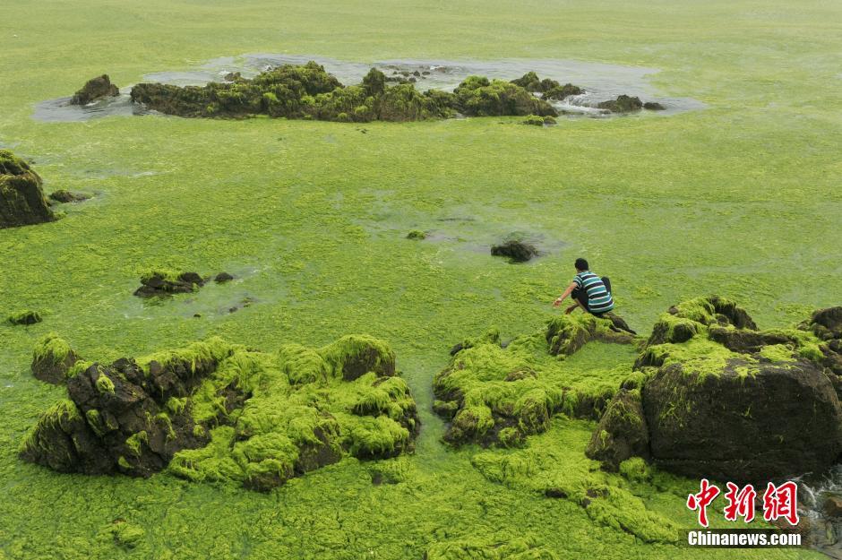 �ൺ�������̦����