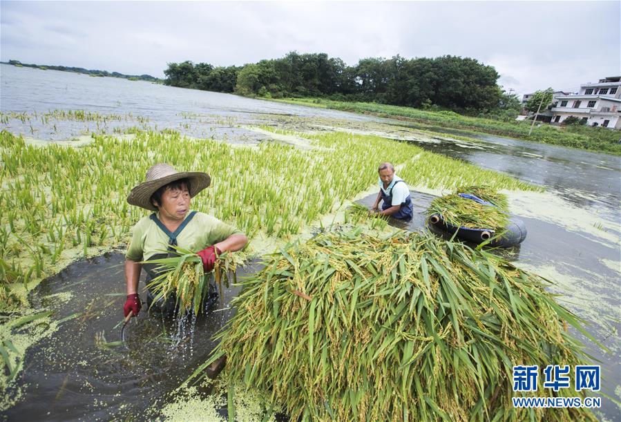 ˮ�������絾