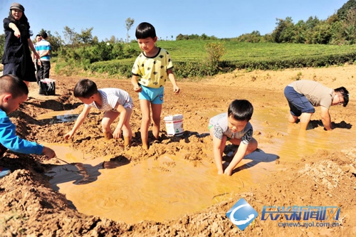 “小荷尖尖”捉泥鳅大赛举行(图)