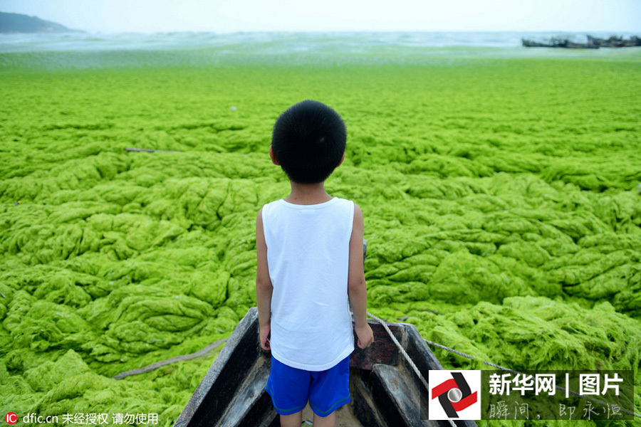 �ൺ�̦������ɳ̲