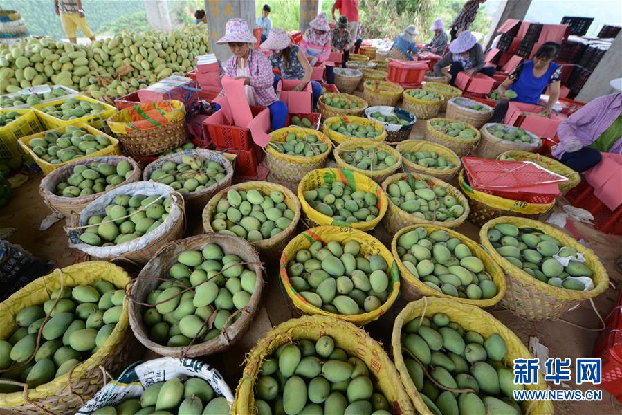 ������â��������