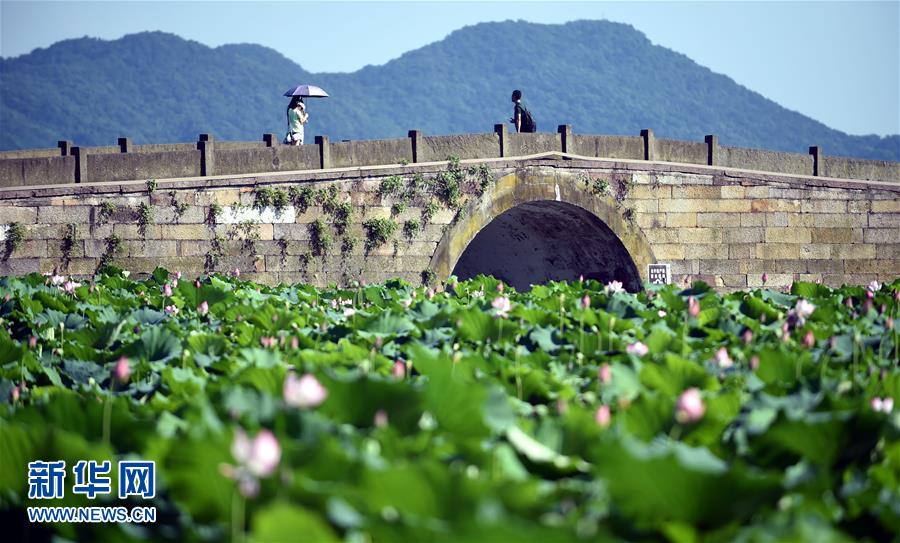 �㽭�������³�ɫԤ��