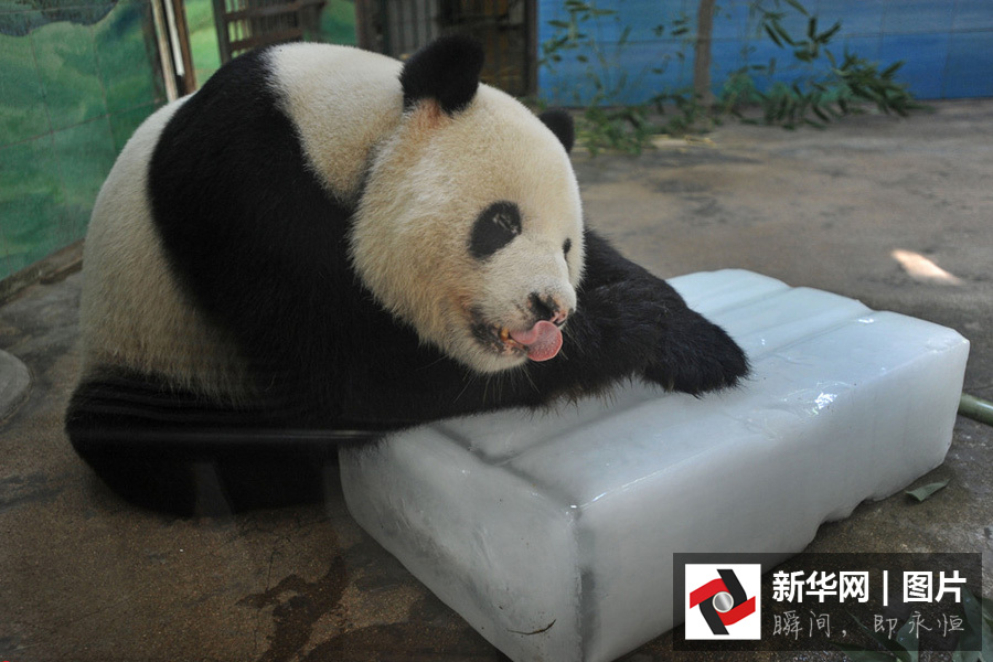 ����è��������������