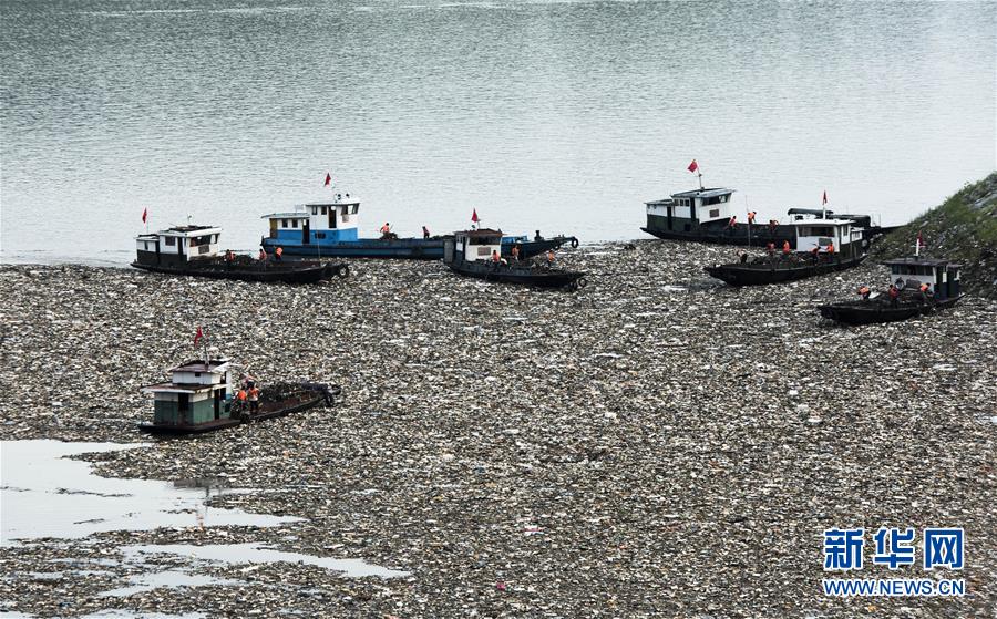 ��ϿѴ����Ưæ