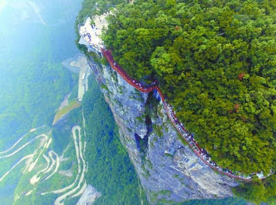 �����żҽ粣��ջ��