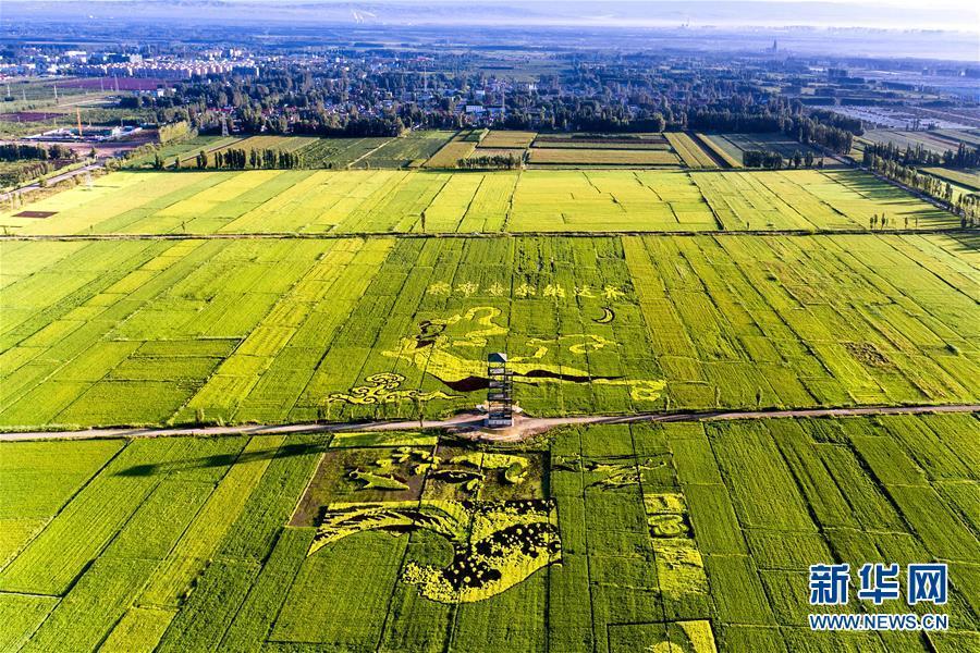 �޷����ﻭ�����½�����