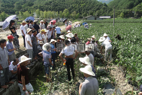 汪炳良教授等农技专家为农户进行技术指导