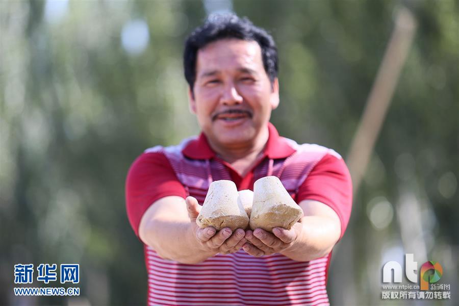 ά����崫ͳ�������ߺ�