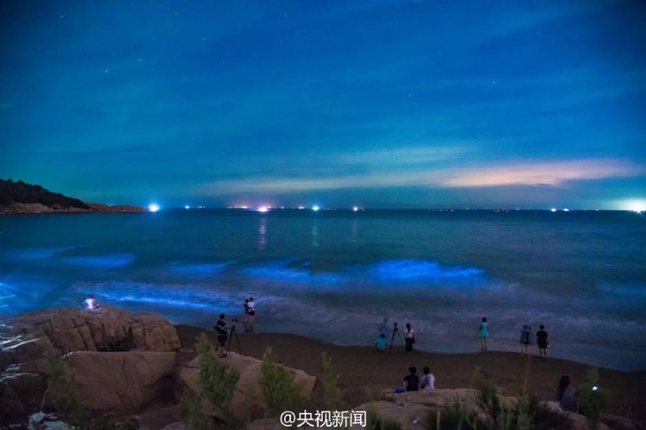 ������̲�־�����������