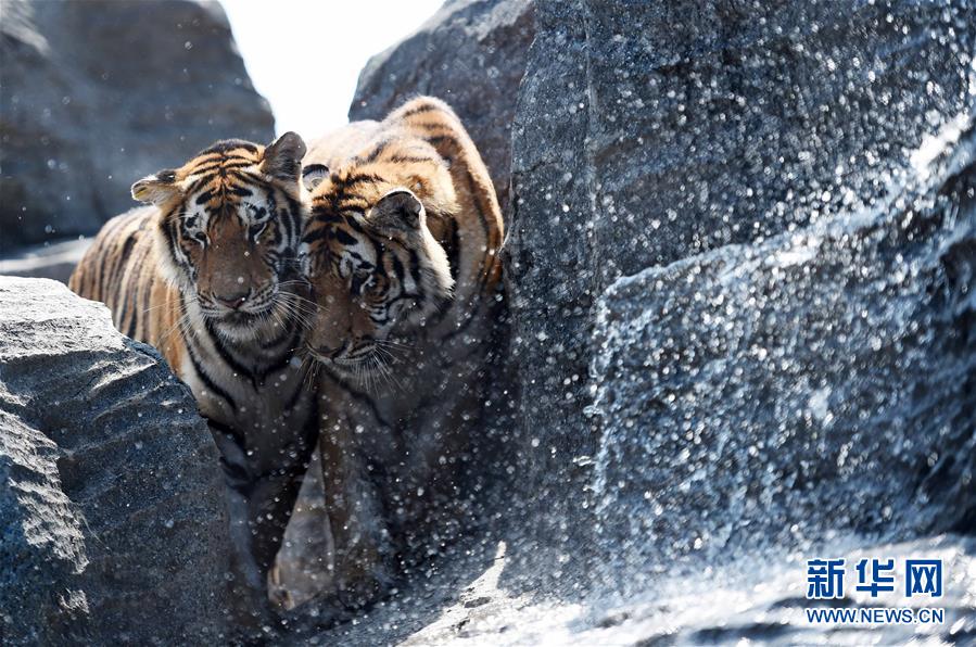 �����ϻ��׷ס���ˮ��