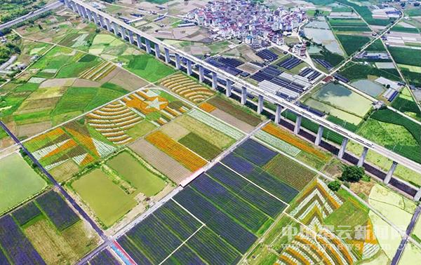 南昌新建区乡镇经济总量排名_南昌新建区乡镇分布图(3)