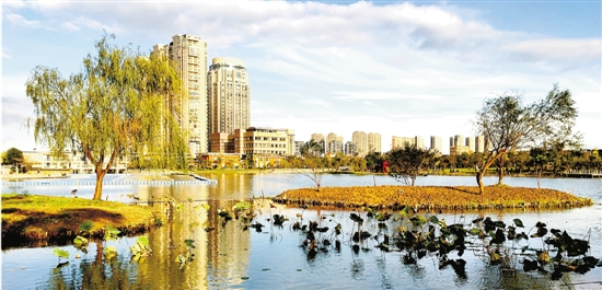 "制造大市"转向"智造强市" 工业强市乐清迈向绿色路