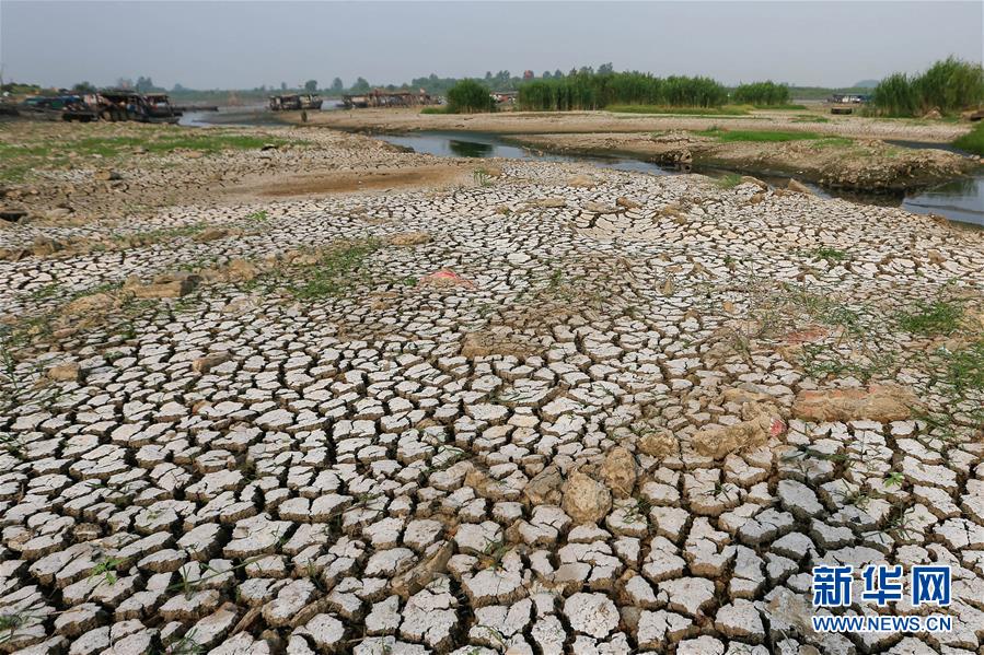 ���ӽ��ն���������