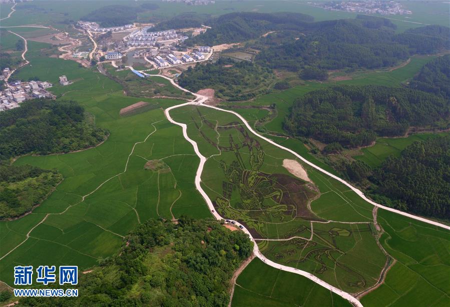 �����ֳ�����������