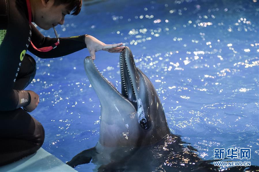 ���գ�Ϊ���ࡰ��족