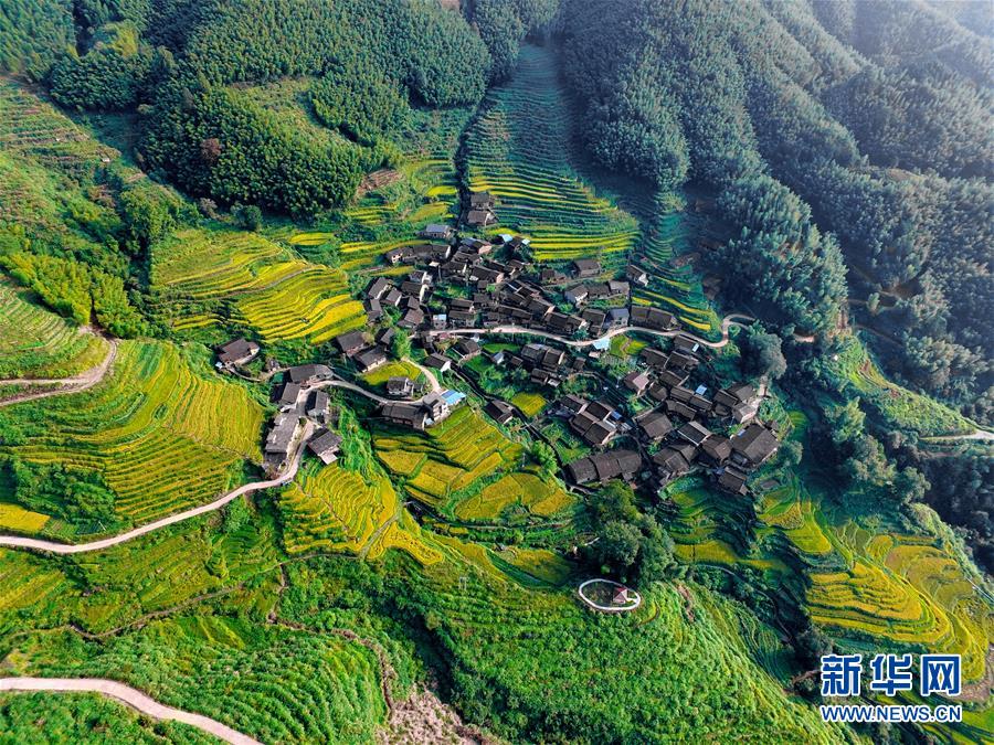 �ﵽ���� ��������