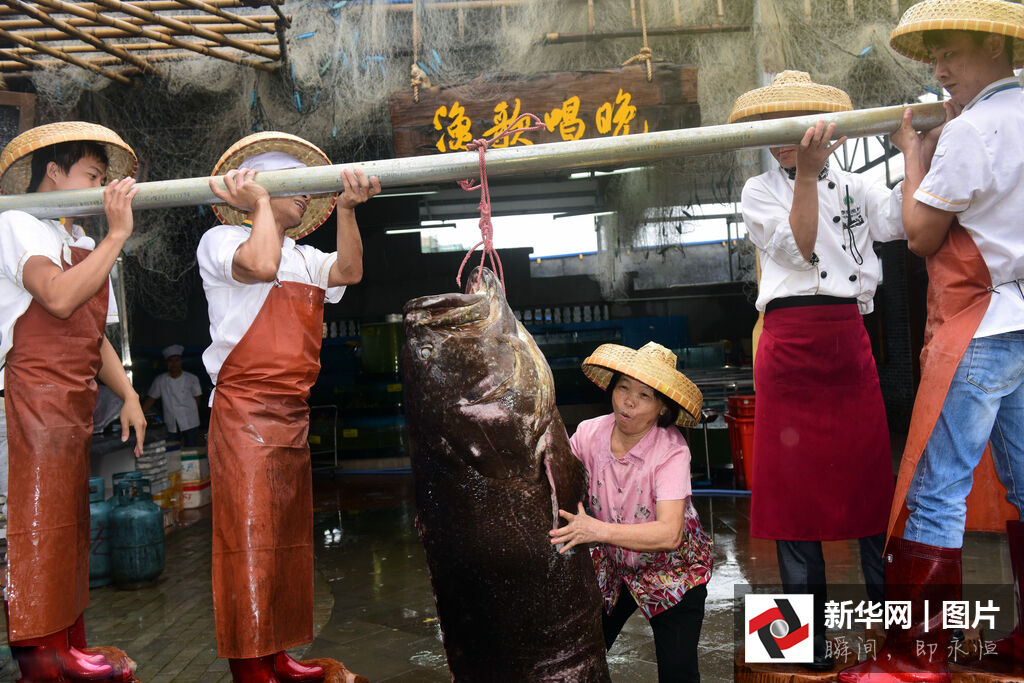 236�����ش�ʯ����