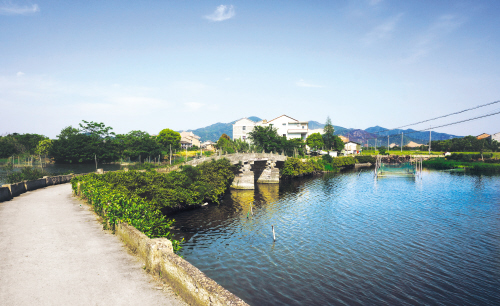 【台州日报】黄岩鉴洋湖湿地:一个美丽的传说