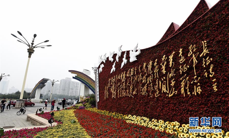 ��ɫ��̳װ���׶���ͷ