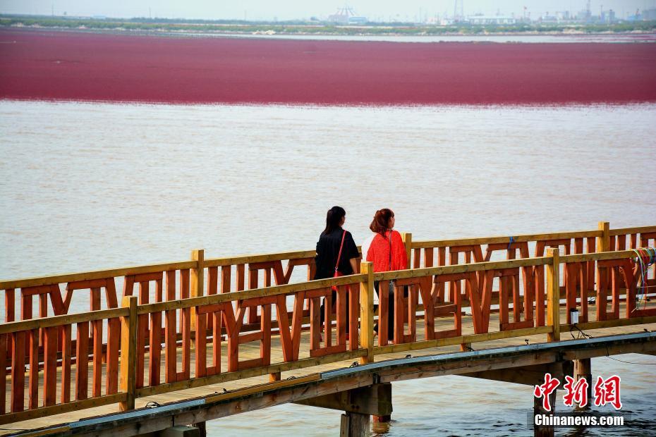 �캣̲������ѹ�����