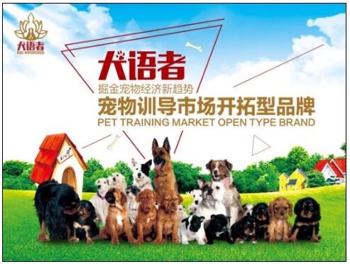 训犬师收入_犬语者训犬师培训用技术改变命运让成功唾手可得