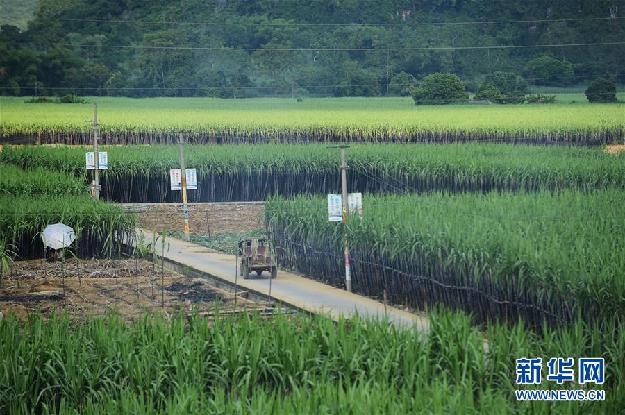 �ִ���ɫũҵʾ����