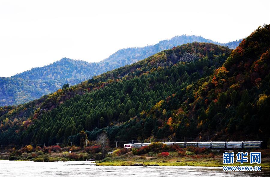 ������ɫ��