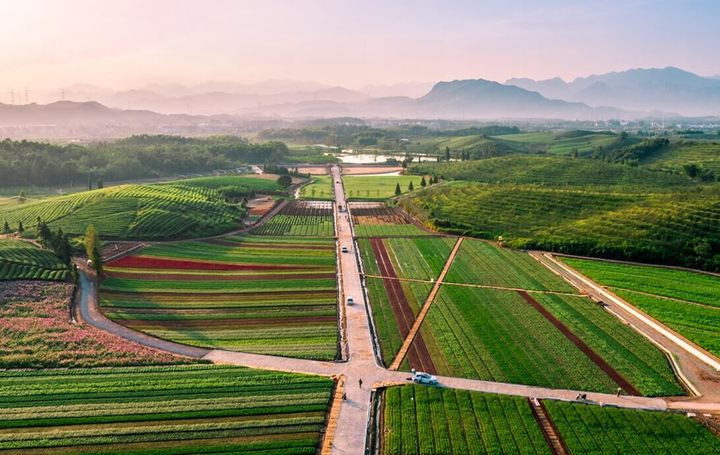 武义花田小镇 等你免费玩!
