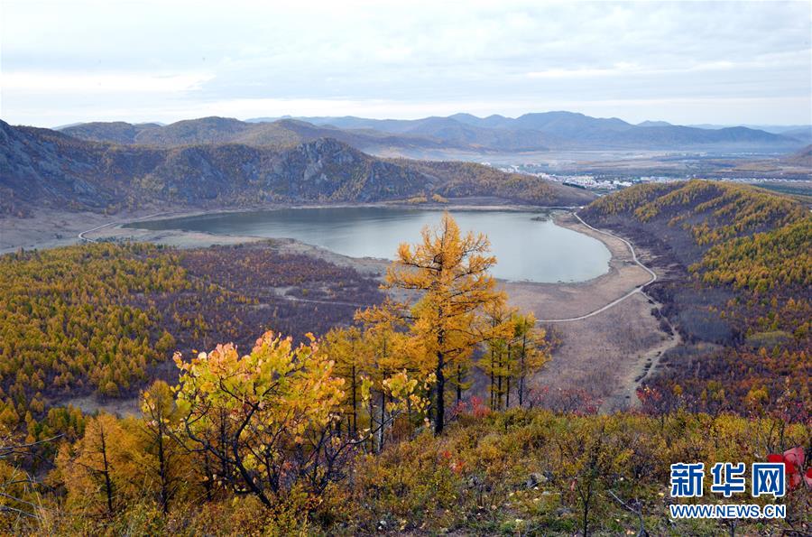 �˰�����ɫ