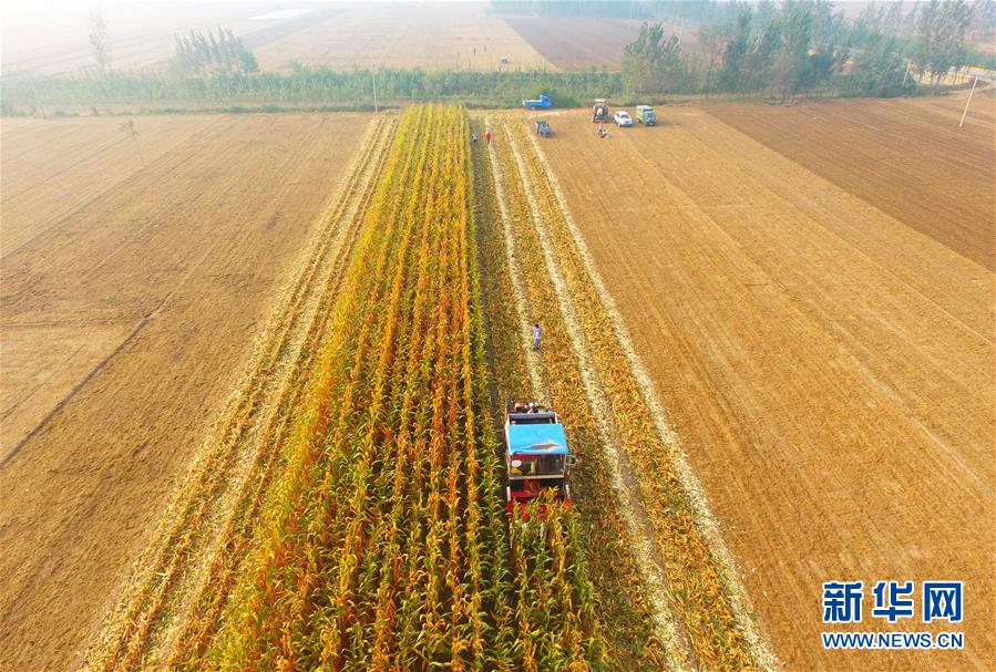 ȫ�������ջ����