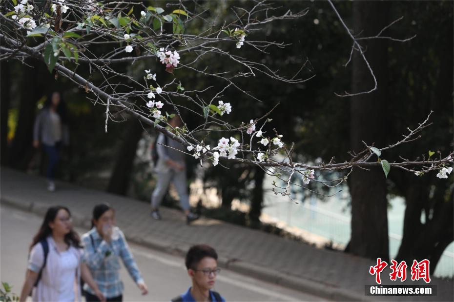 �人��ѧӣ������������