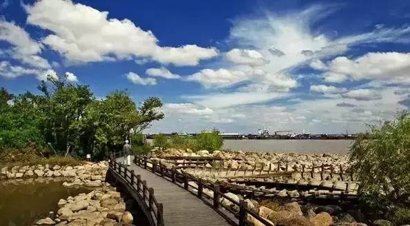 沪华海鲜_ShanghaiWOW！都与你分享本年度沪上最佳50排行榜！(2)
