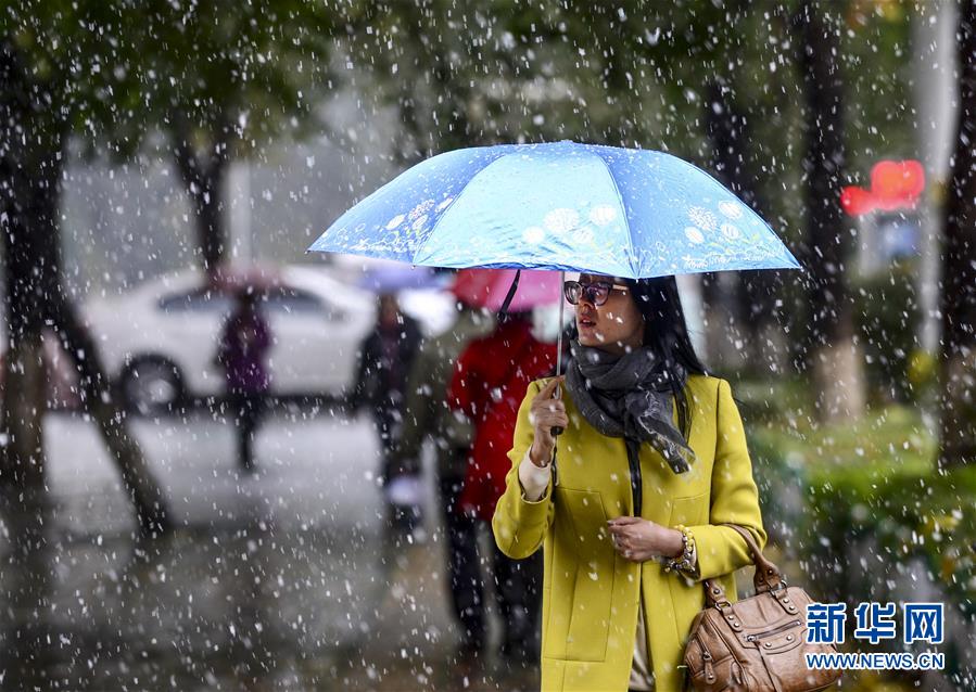 ��³ľ��ӭ����ѩ