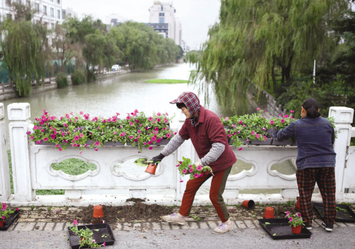 ǣţ������������ 