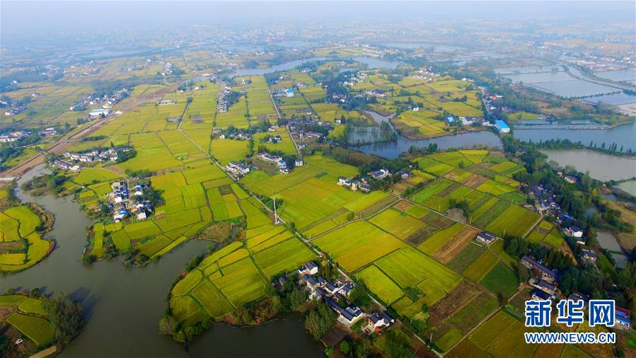 ���ݽ�ɫ����̺�����续