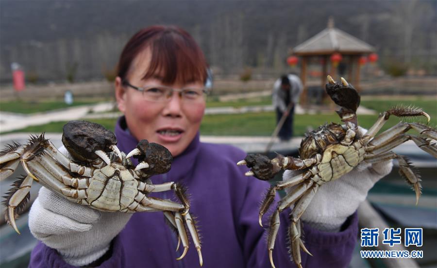 �Ӱ�����׼��ƶз����