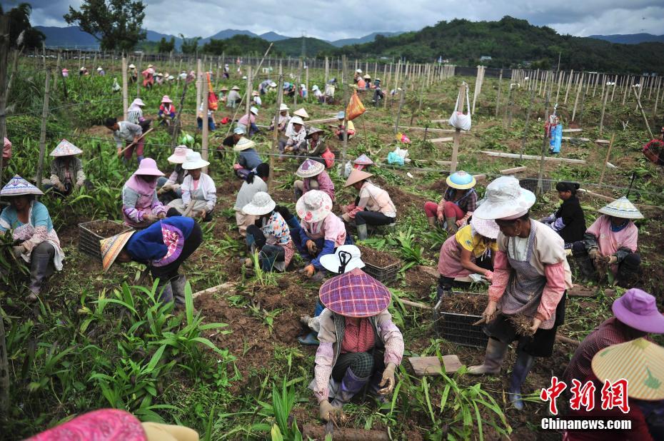 ���ϰ�ܸ����ʢ����