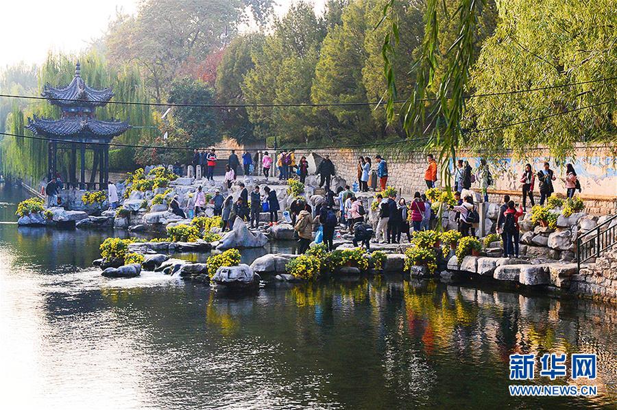 ���Ͼٰ�ջ�չ