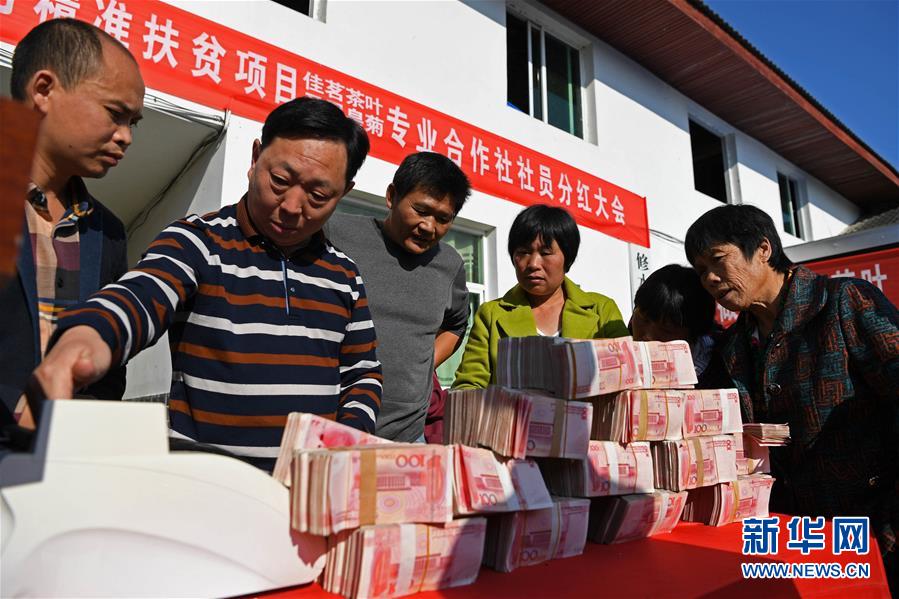 金秋菊农喜分红