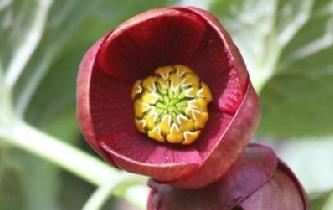 �Ĵ�����ȷ��һ������