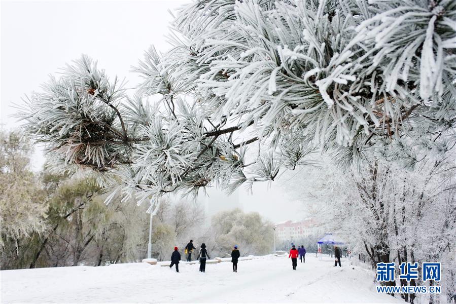 牡丹江初冬雾凇美
