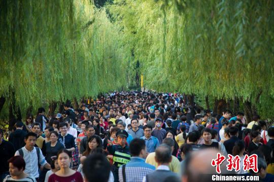 金秋菊展福州举行